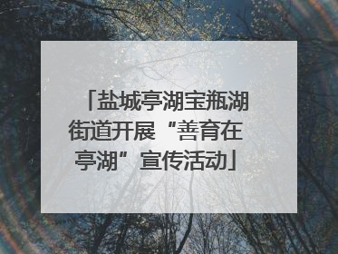 盐城亭湖宝瓶湖街道开展“善育在亭湖”宣传活动
